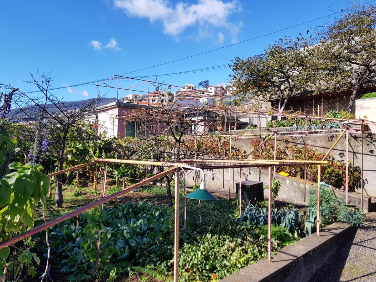 푼샬 Quinta Do Bom Sucesso 아파트 외부 사진